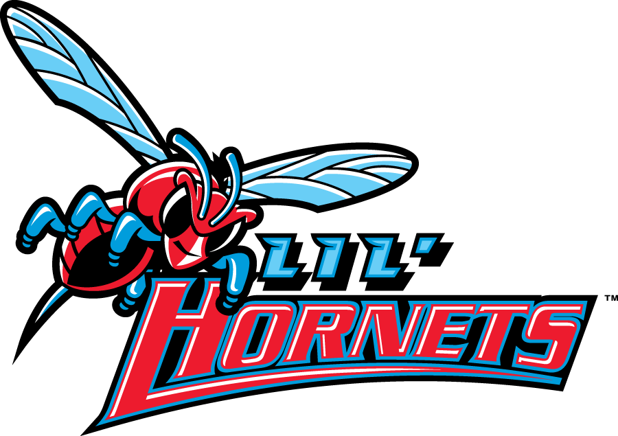 Delaware State Hornets 2004-Pres Misc Logo diy fabric transfer